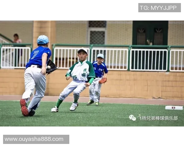 武汉乒乓球队的奋斗与辉煌：一段不平凡的突破之路纪实