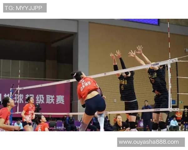 排球热点：解读北京排球队的区域防守