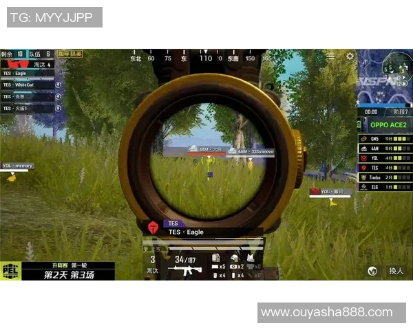 和平精英热点：解读TES的转换