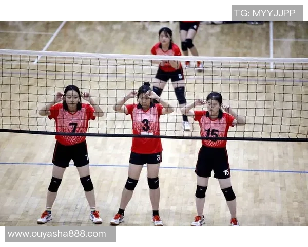 排球焦点：西安排球队的节奏探讨