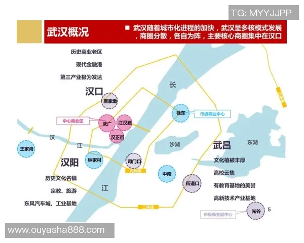 独家分析：武汉排球队的灵活性对比