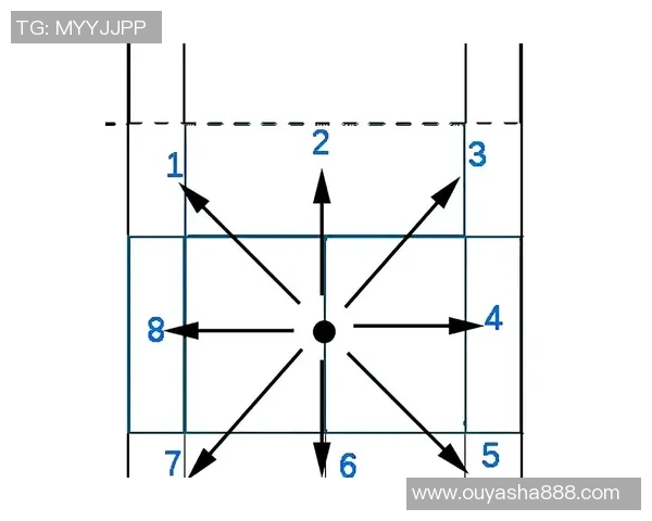 羽毛球战术:西安羽毛球队的区域防守体系